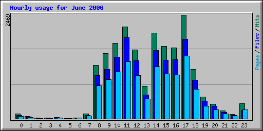 Hourly usage for June 2006